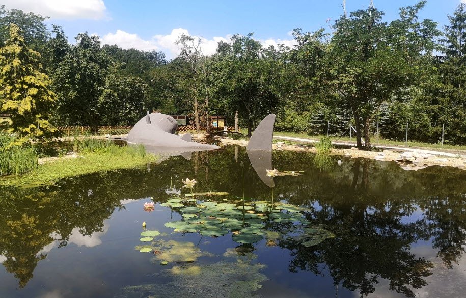 Szarvasi Arborétum, Hungary